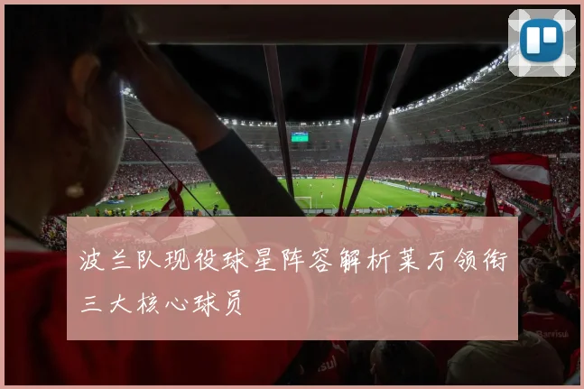 波兰队现役球星阵容解析莱万领衔三大核心球员