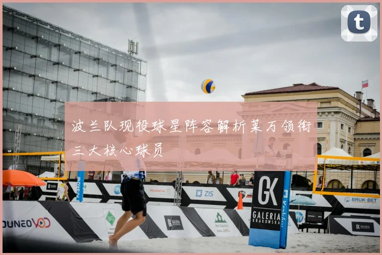 波兰队现役球星阵容解析莱万领衔三大核心球员