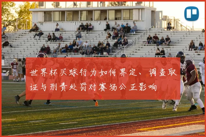 世界杯买球行为如何界定、调查取证与刑责处罚对赛场公正影响