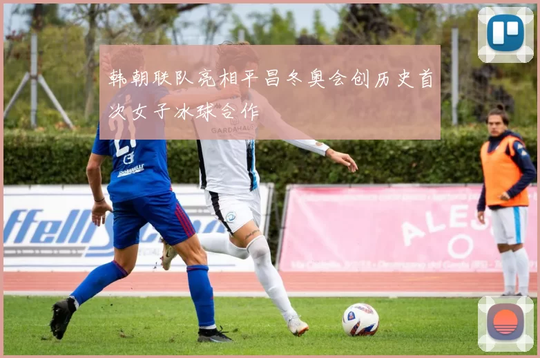 韩朝联队亮相平昌冬奥会创历史首次女子冰球合作