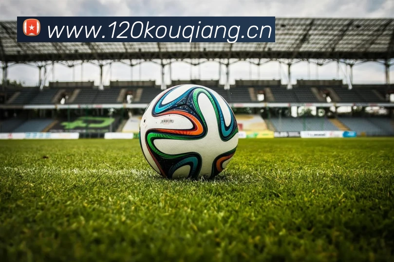 多媒体互动体验